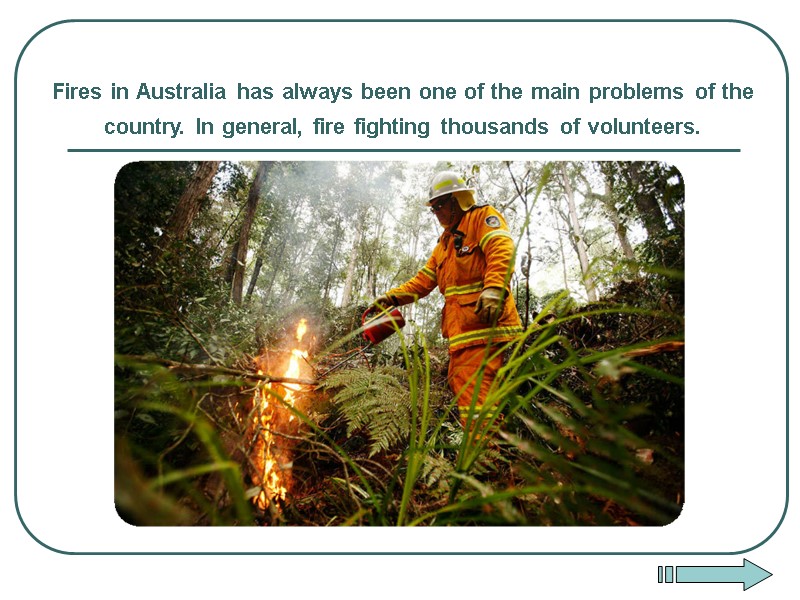 Fires in Australia has always been one of the main problems of the country.